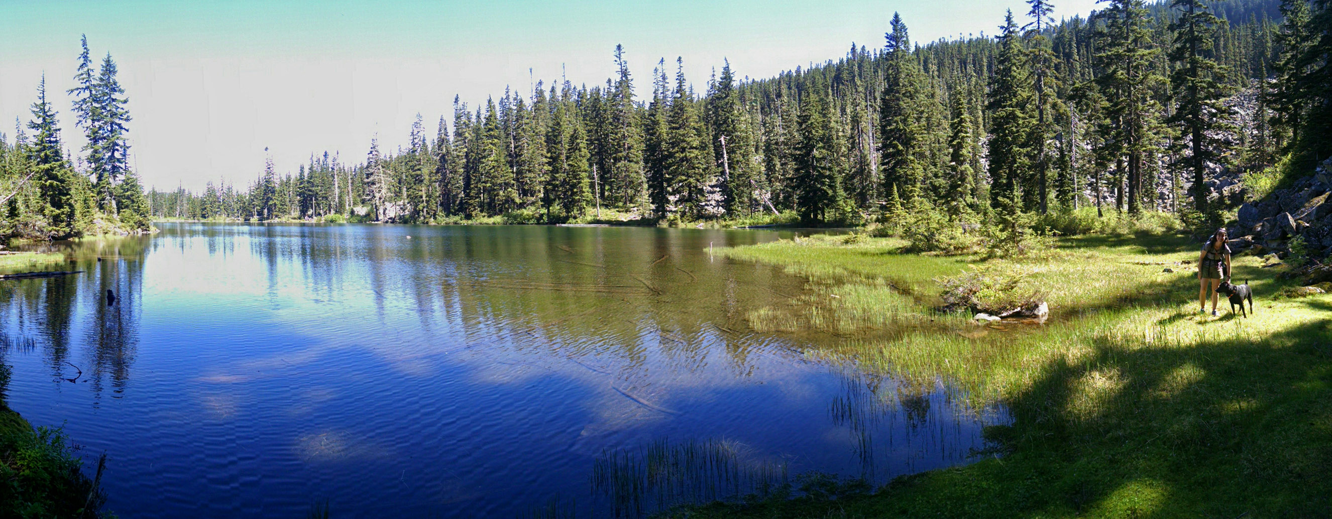 Scout Lake — Washington Trails Association